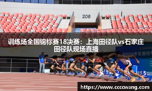 3377官网